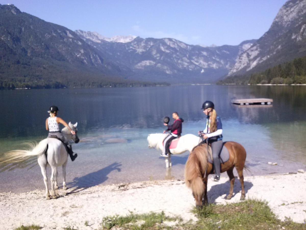 Tubej Mountain Room With Terase Bohinjska Bistrica Dış mekan fotoğraf